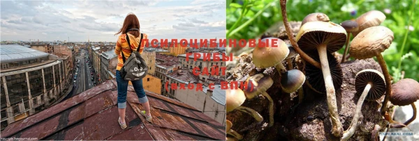 гашишное масло Вязники